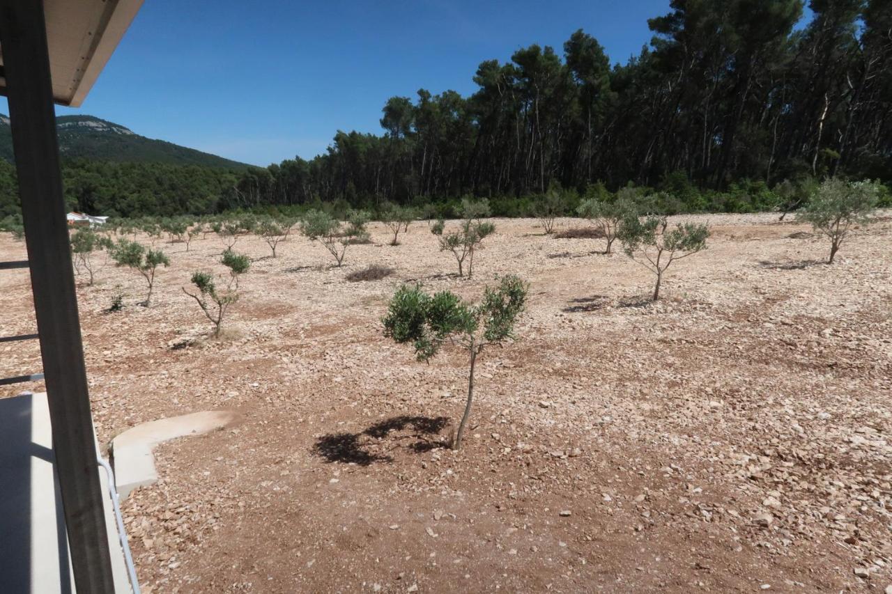 Čara Robinson Olive Tree Huts 빌라 외부 사진